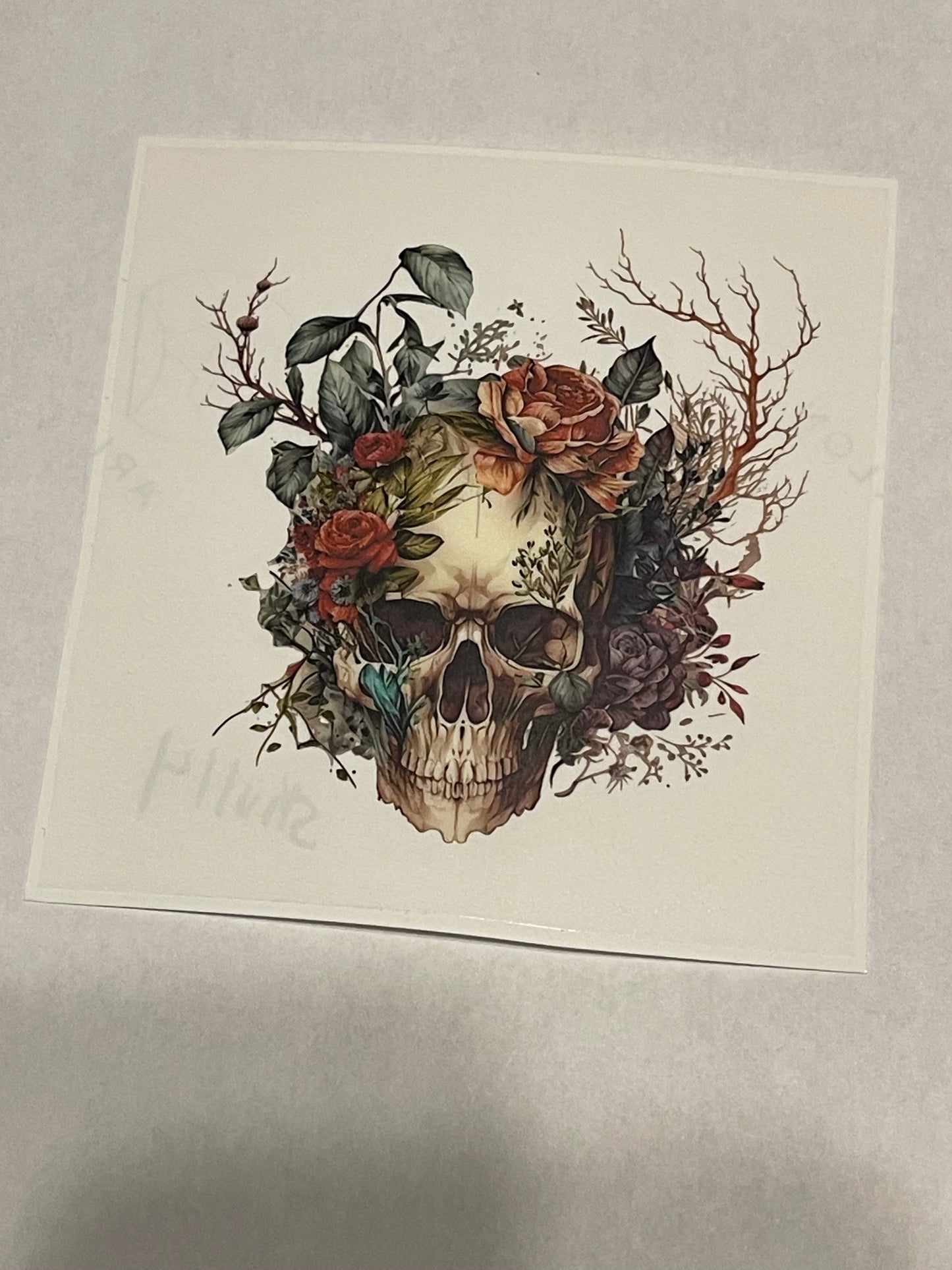 Skull 4