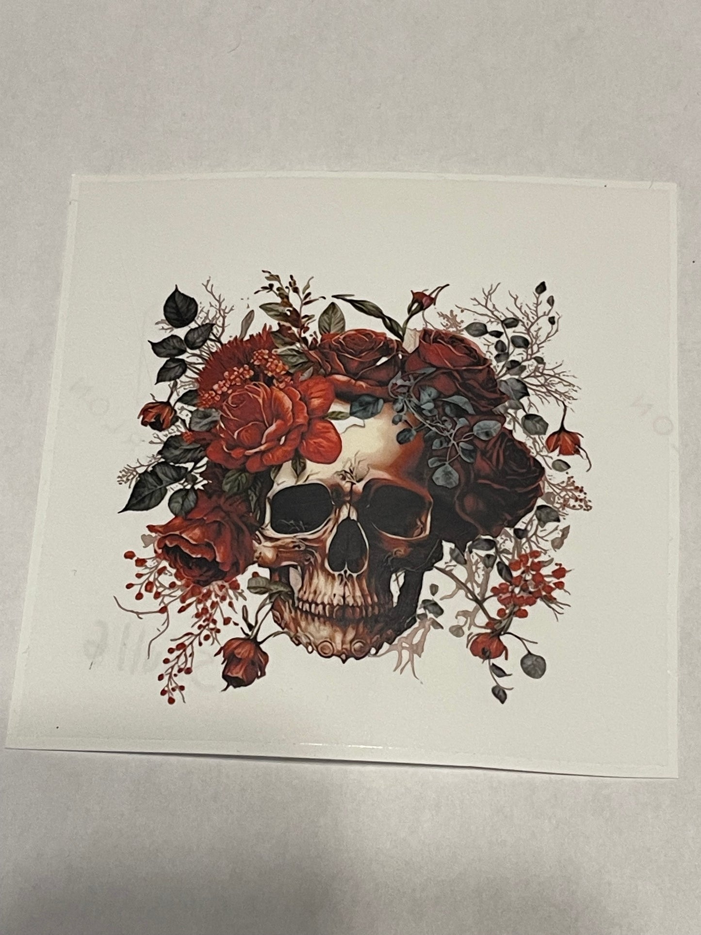 Skull 6